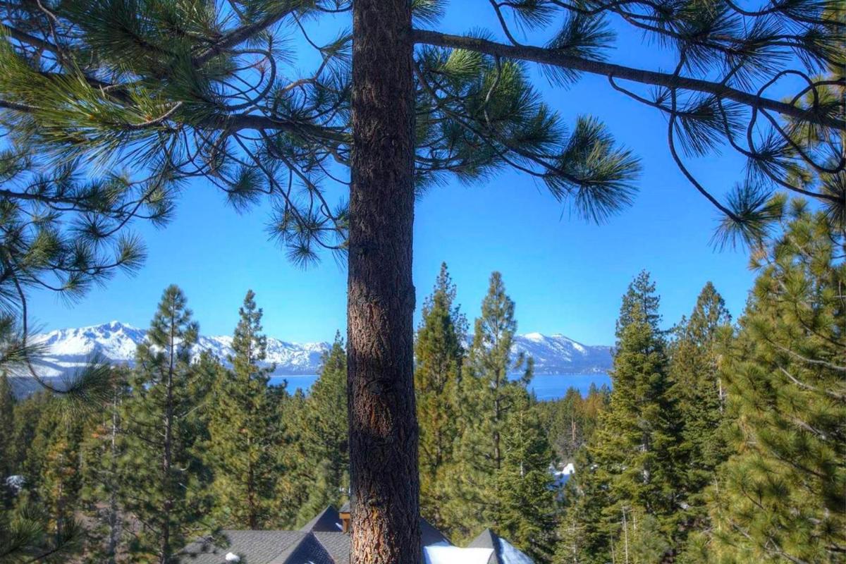 Popular attractions Area Nearby Property